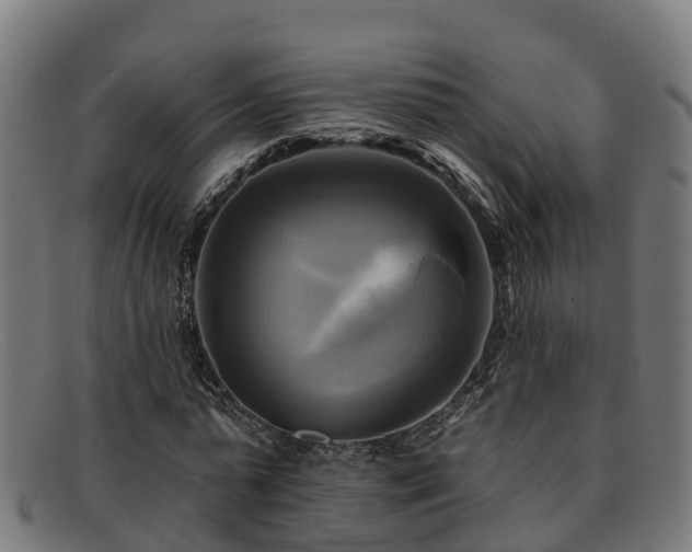 X0000091910775200709121516