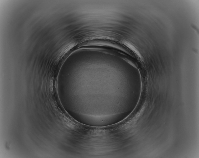 X0000091910777200709121516