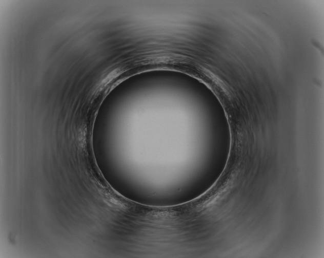 X0000091910778200709121516