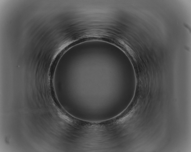 X0000091910779200709121516