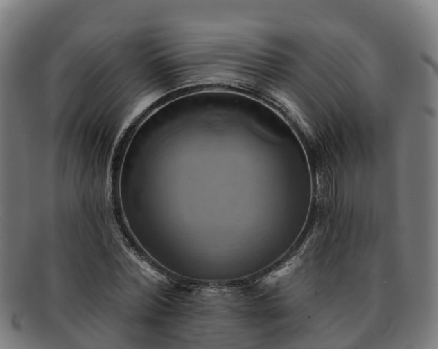 X0000091910780200709121516