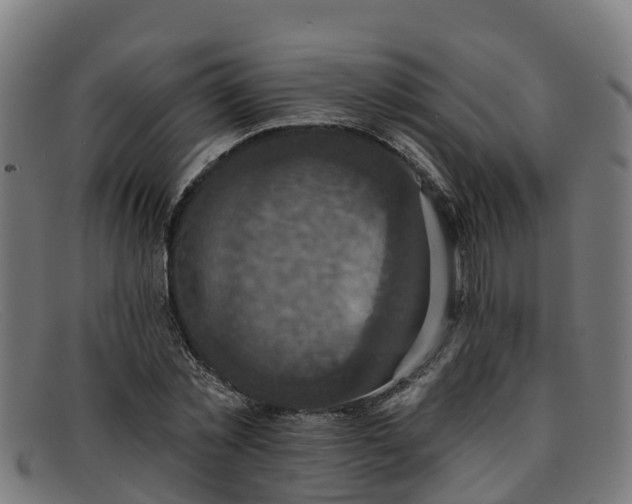 X0000091910781200709121516