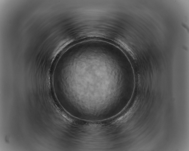 X0000091910782200709121516