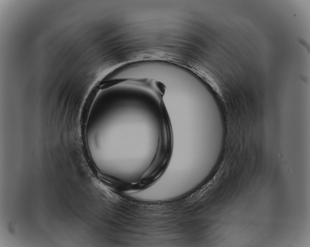 X0000091910784200709121516