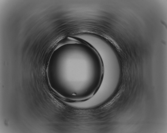 X0000091910785200709121516