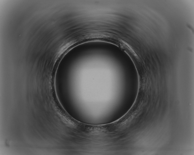 X0000091910786200709121516