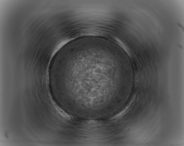 X0000091910787200709121516