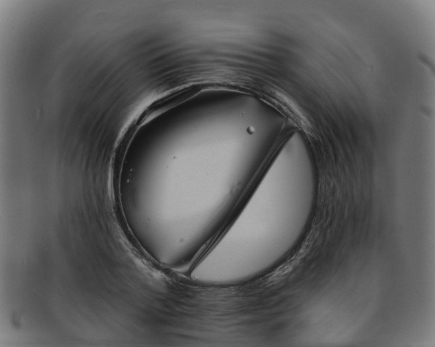 X0000091910788200709121516