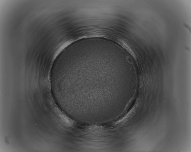 X0000091910789200709121516