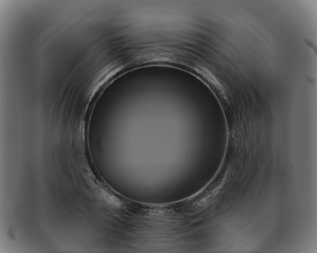 X0000091910790200709121516