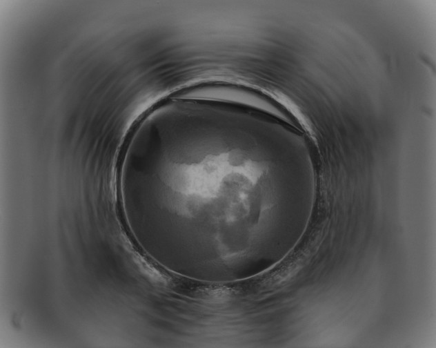 X0000091910791200709121516