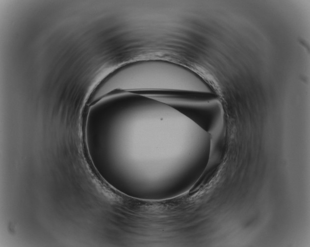 X0000091910792200709121516