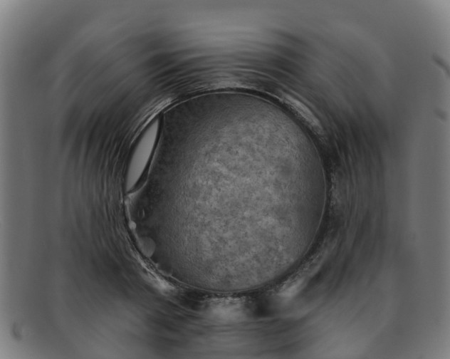 X0000091910793200709121516