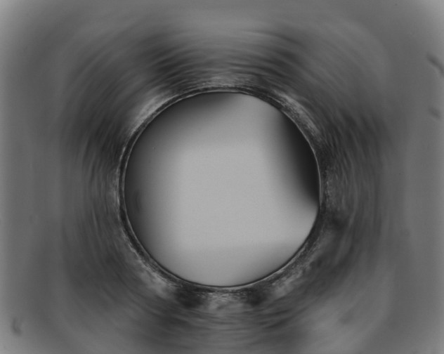 X0000091910794200709121516