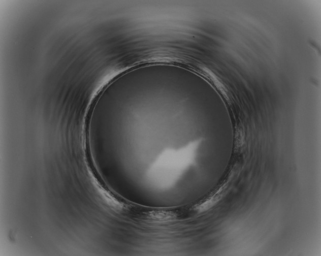 X0000091910795200709121516