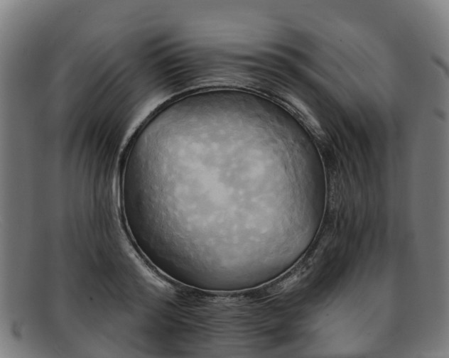 X0000091910796200709121516