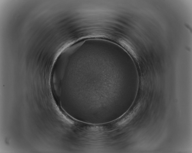 X0000091910797200709121516