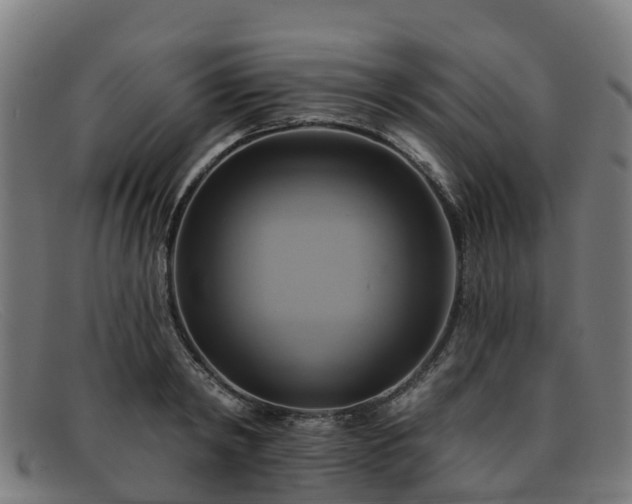 X0000091910798200709121516