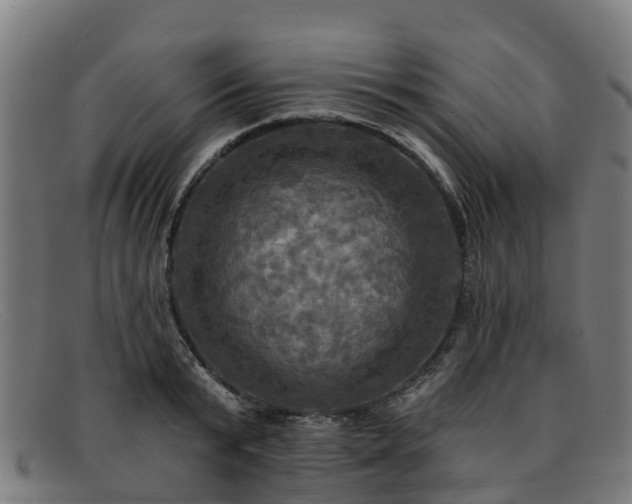 X0000091910799200709121516