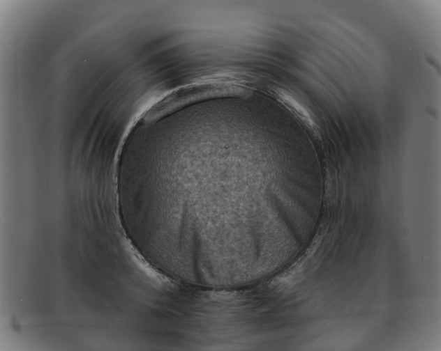 X0000091910800200709121516