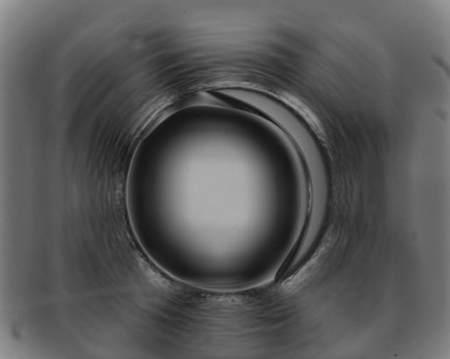 X0000091910801200709121516