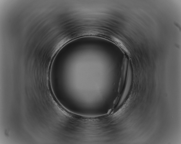 X0000091910802200709121516