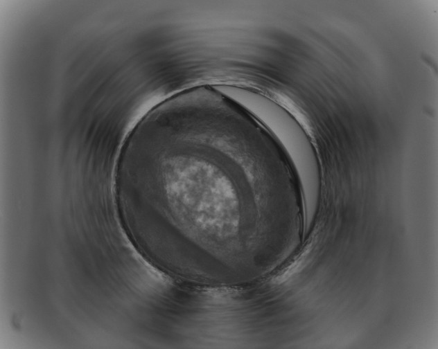 X0000091910803200709121516