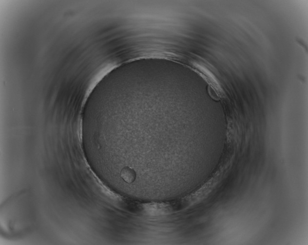 X0000091910804200709121516