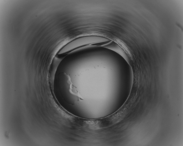 X0000091910805200709121516