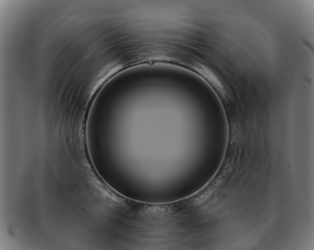 X0000091910806200709121516