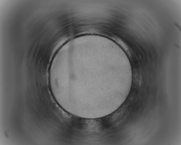 X0000091910807200709121516