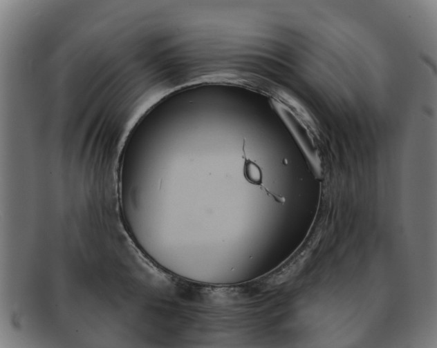 X0000091910808200709121516