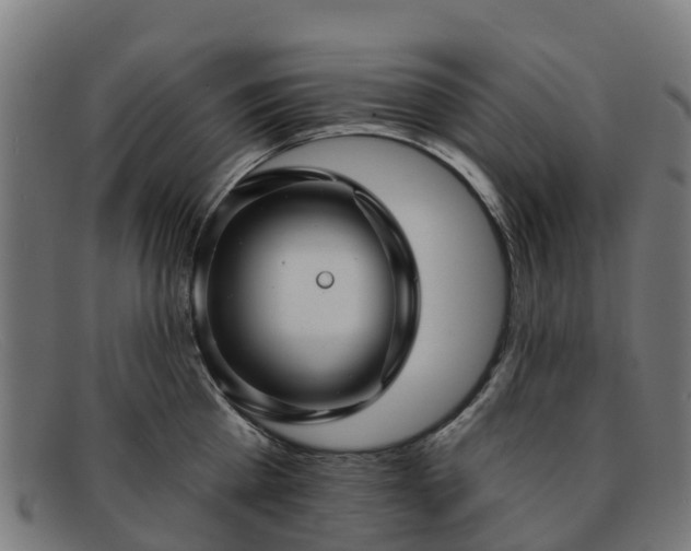 X0000091910809200709121516