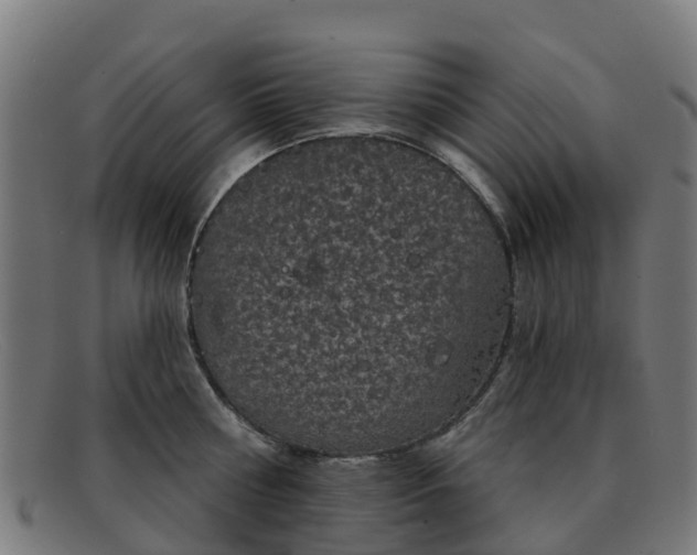 X0000091910810200709121516