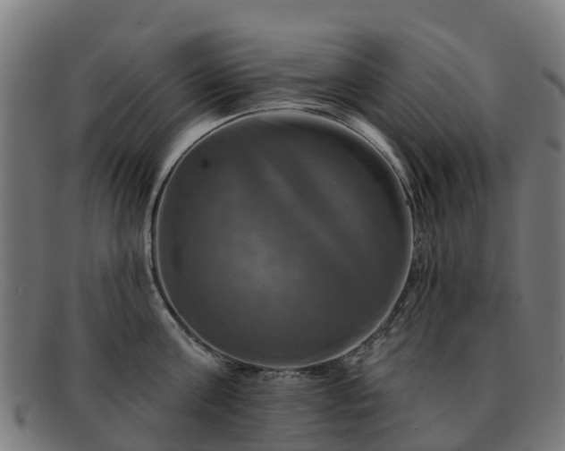 X0000091910811200709121516