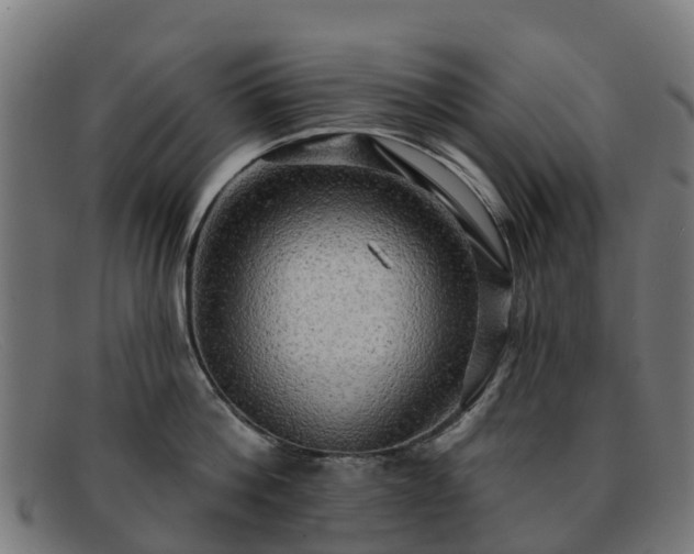 X0000091910812200709121516