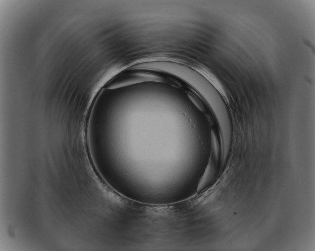 X0000091910813200709121516