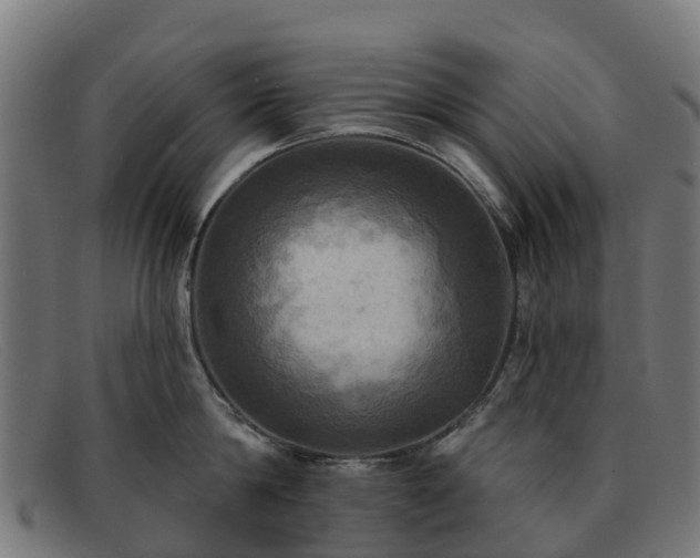 X0000091910814200709121516