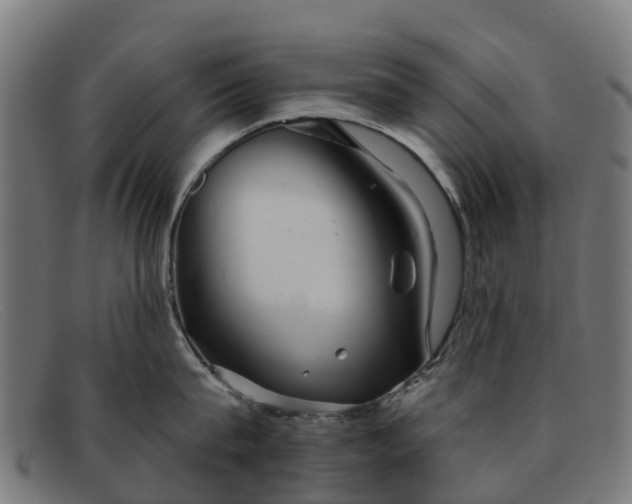 X0000091910815200709121516