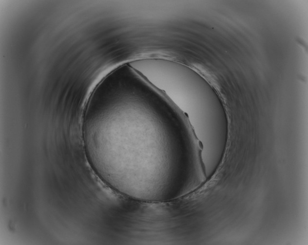 X0000091910816200709121516