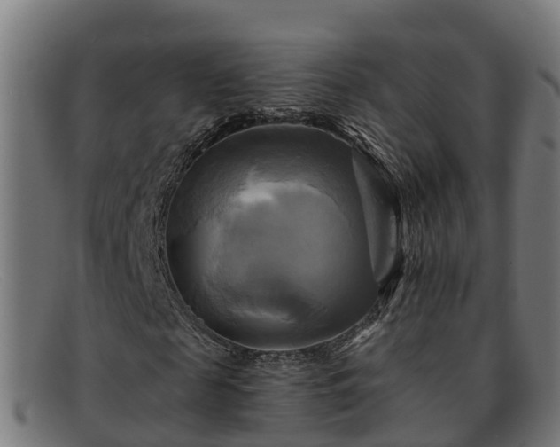 X0000091910817200709121515