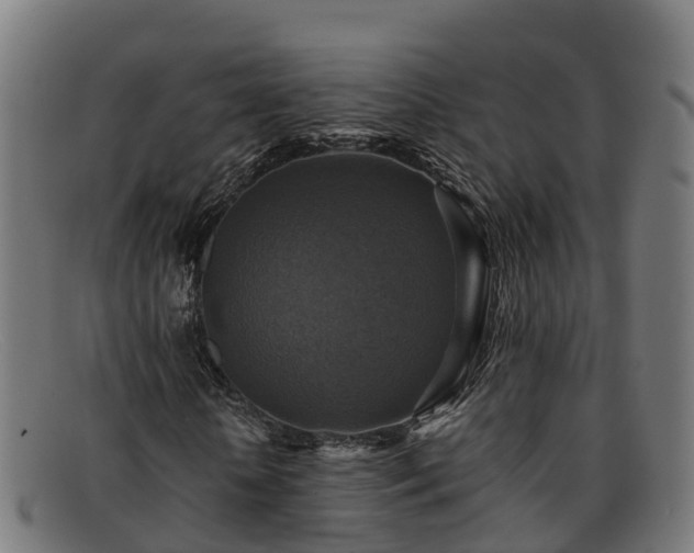 X0000091910818200709121515