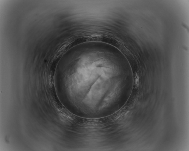 X0000091910819200709121515