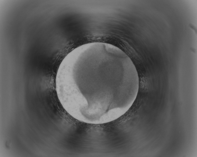 X0000091910820200709121515