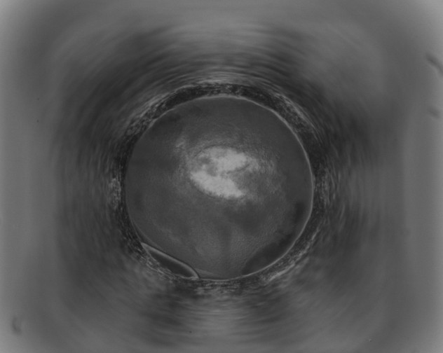 X0000091910821200709121515