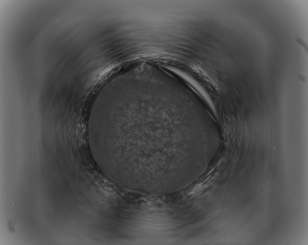 X0000091910822200709121515