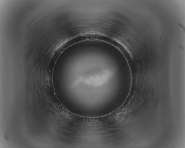 X0000091910823200709121515