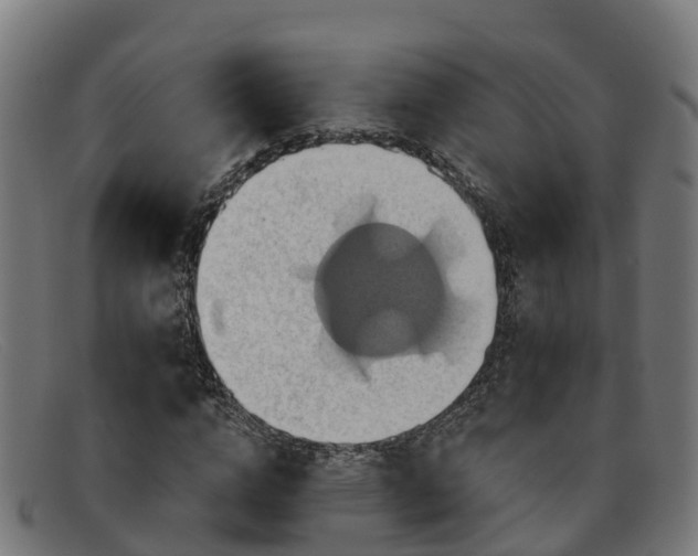 X0000091910824200709121515