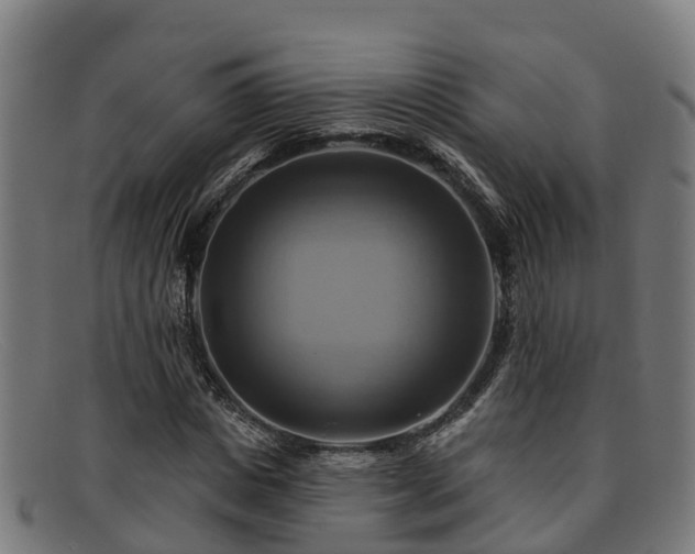 X0000091910825200709121515