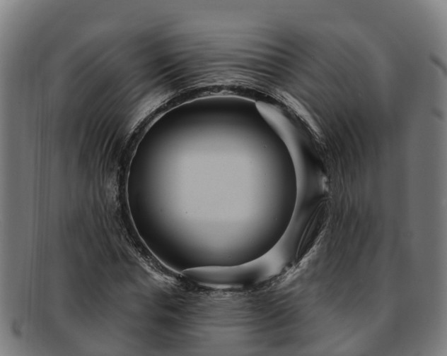 X0000091910826200709121515